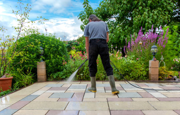 Trusted Wallace, LA Pressure Washing Services Experts